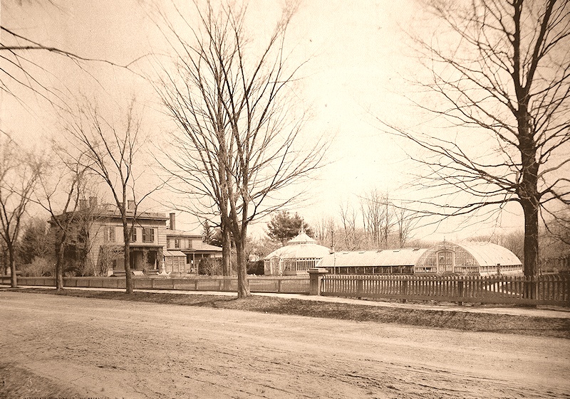 The Williston Mansion, ca. 1885.