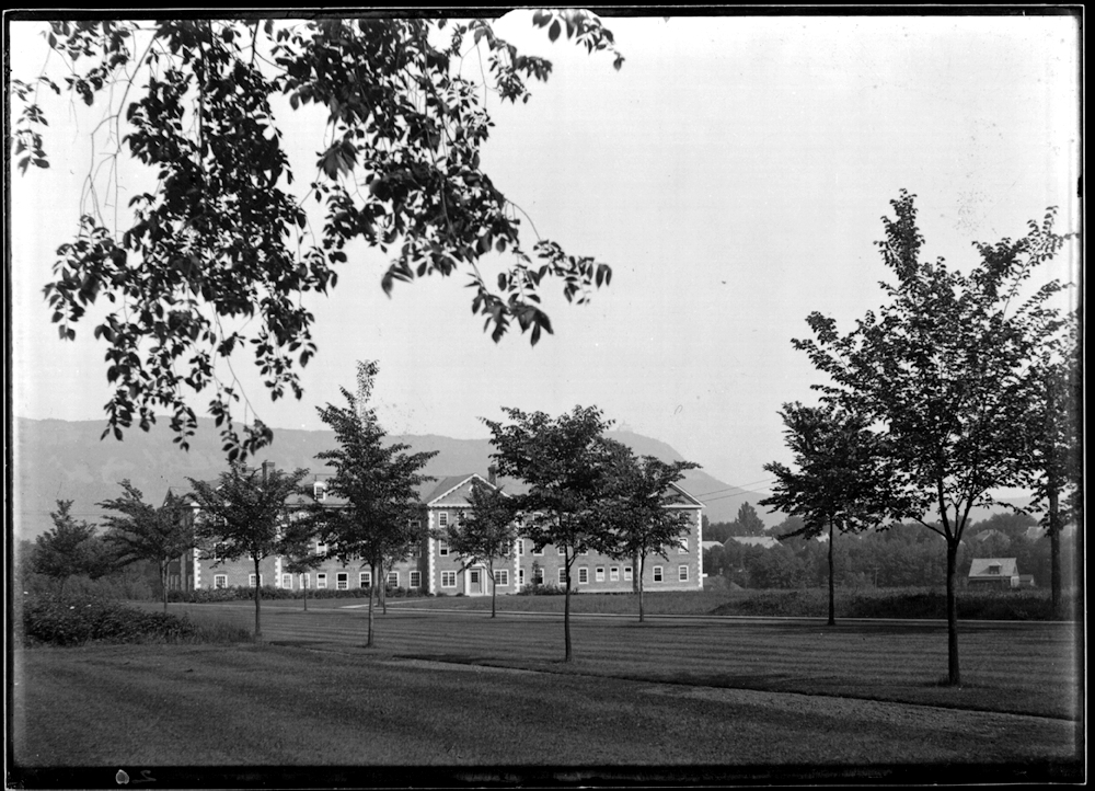 Ford from the Quad, 1916, with newly-planted elm trees.