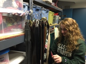 Leeanna Albanese '16 replaces belts in the costume shop. 