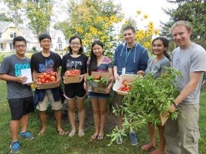The club collaborates on gathering the harvest!