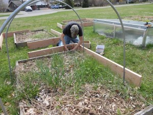 Ben C building new garden beds