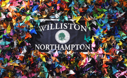 williston northampton paper cranes